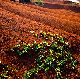 Steam喜加一！《天国：拯救》花花公子DLC免费领取